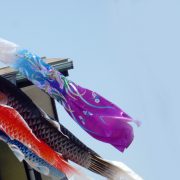 鯉のぼり