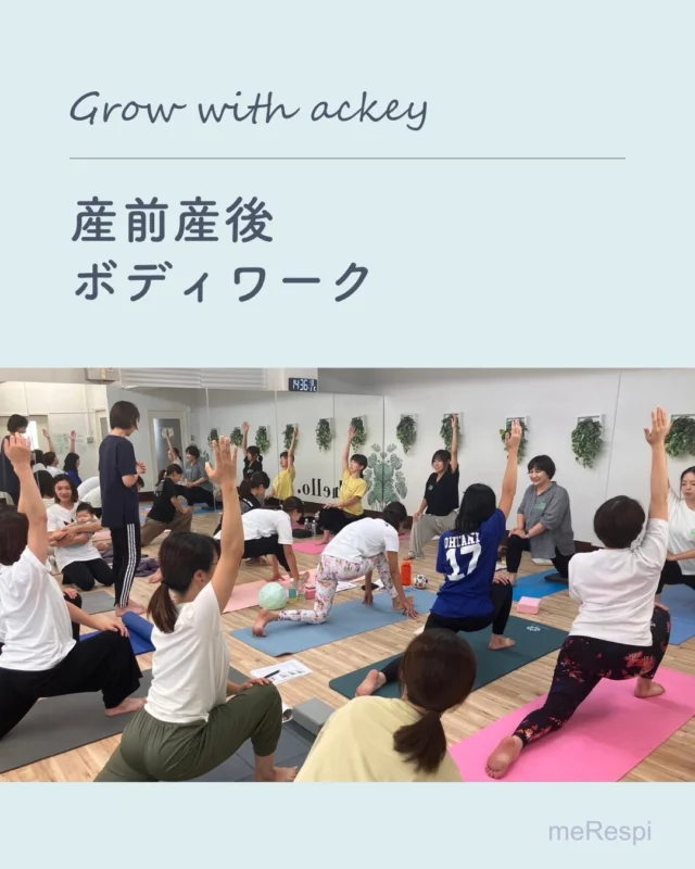 makoママ　あっきースリング （彩りシリーズ　胡桃） あっきースリング 胡桃 | スリングならnicoBaby【公式】